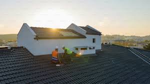 Best Skylight Installation and Repair  in Litchfield, MN